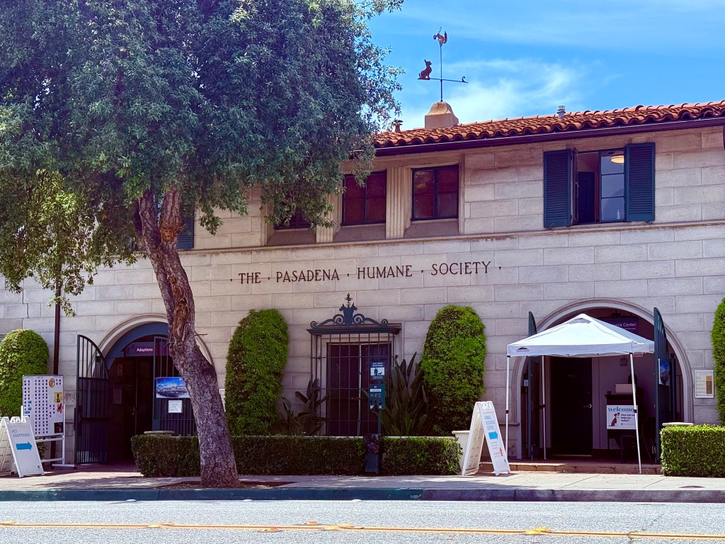 Pasadena Humane Society: Home Is Where the Heart&nbsp;Is
